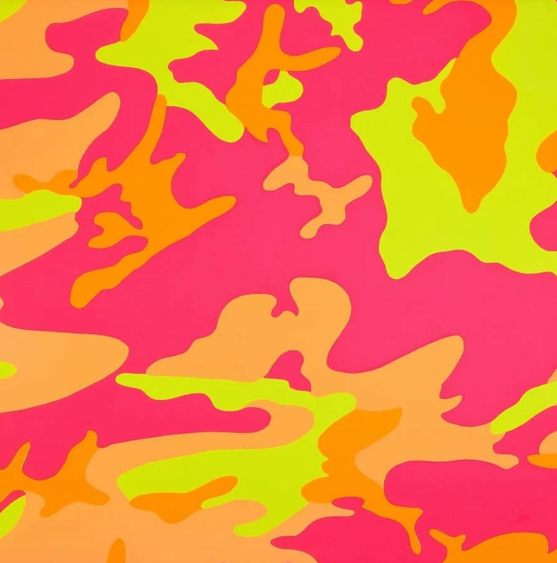 Camouflage F.  S. II.409
