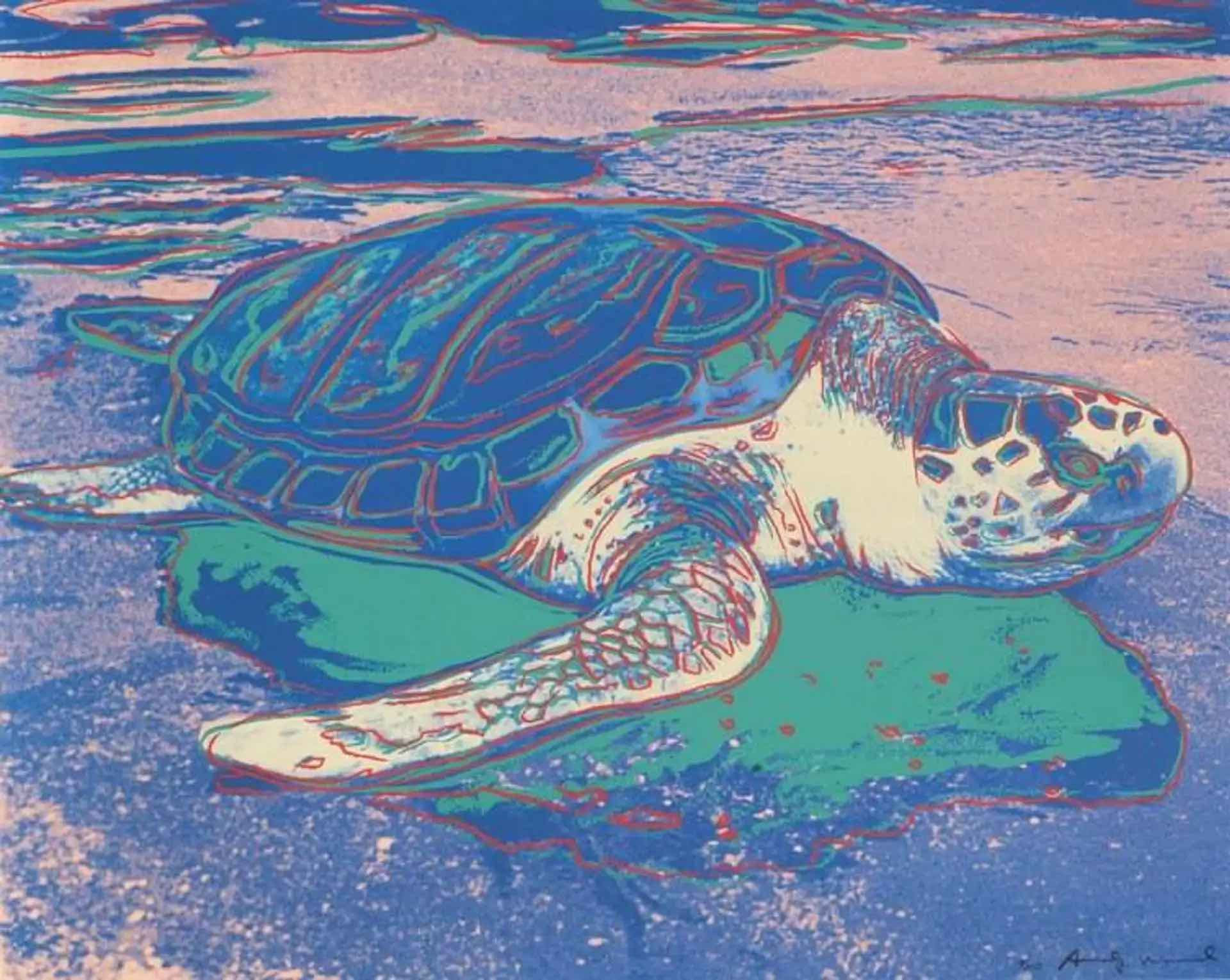 Endangered Species Sea Turtle