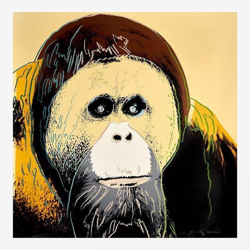 Orangutan from Endangered Spe