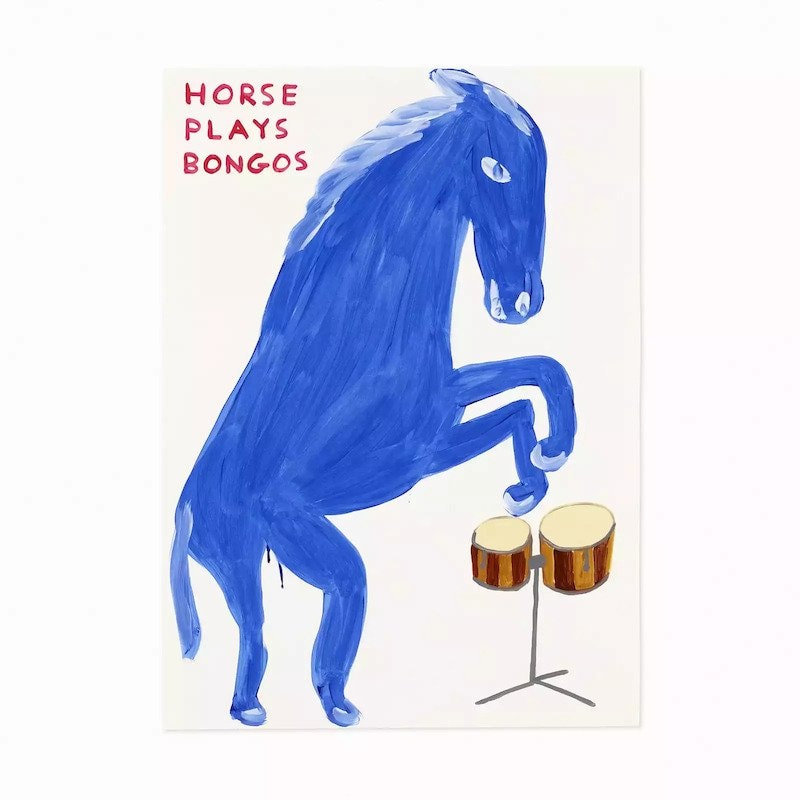 Horse Plays Bongos
