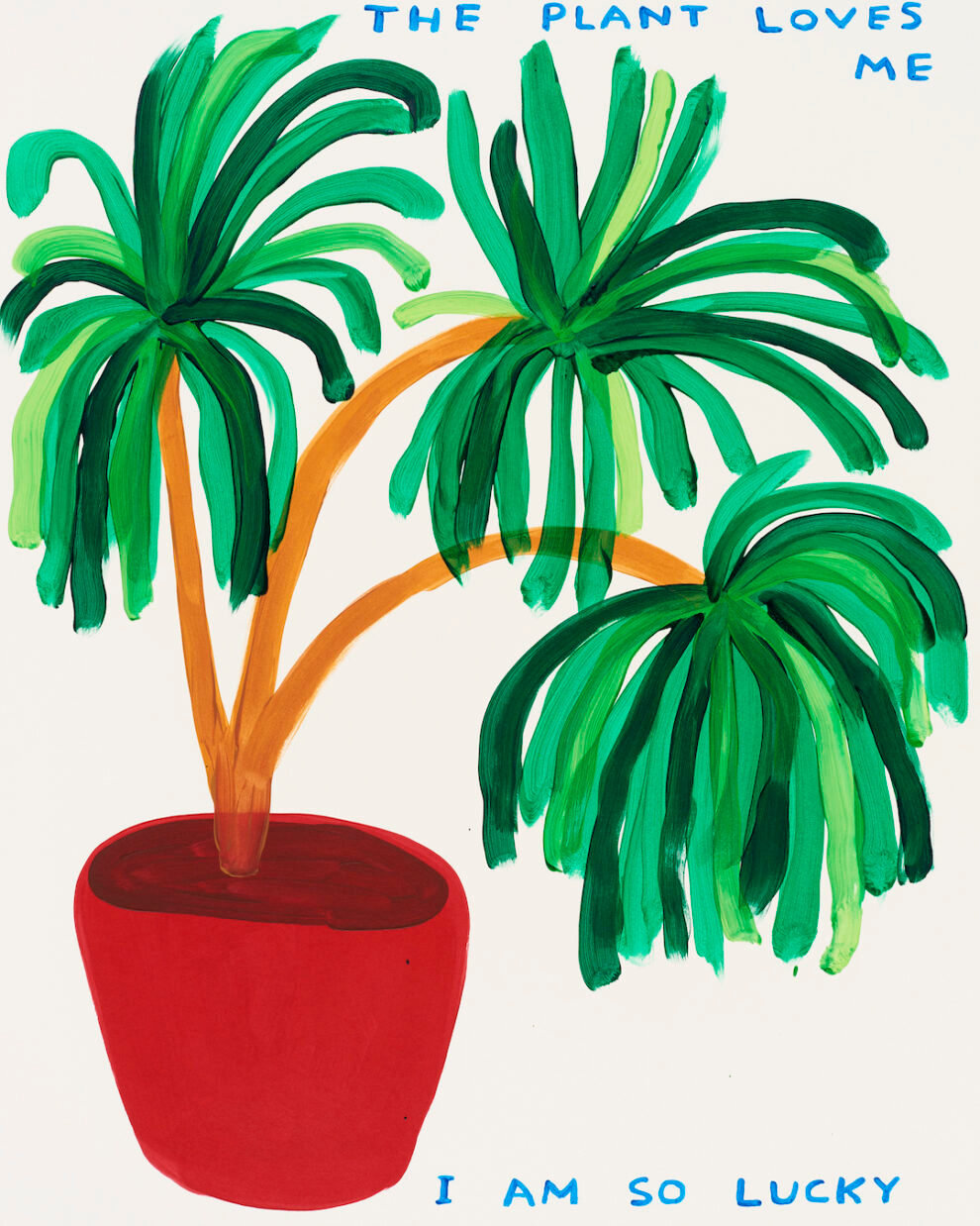 The Plant Loves Me