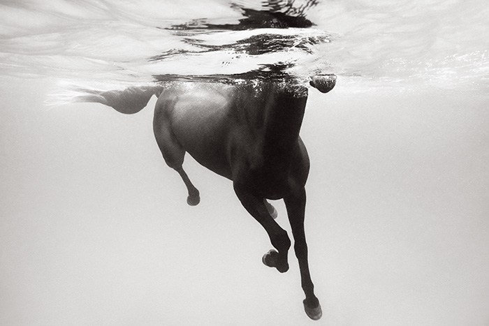 Dance of the Sea