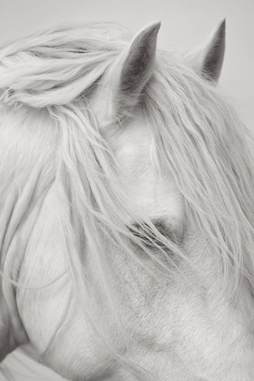 Ethere — Drew Doggett