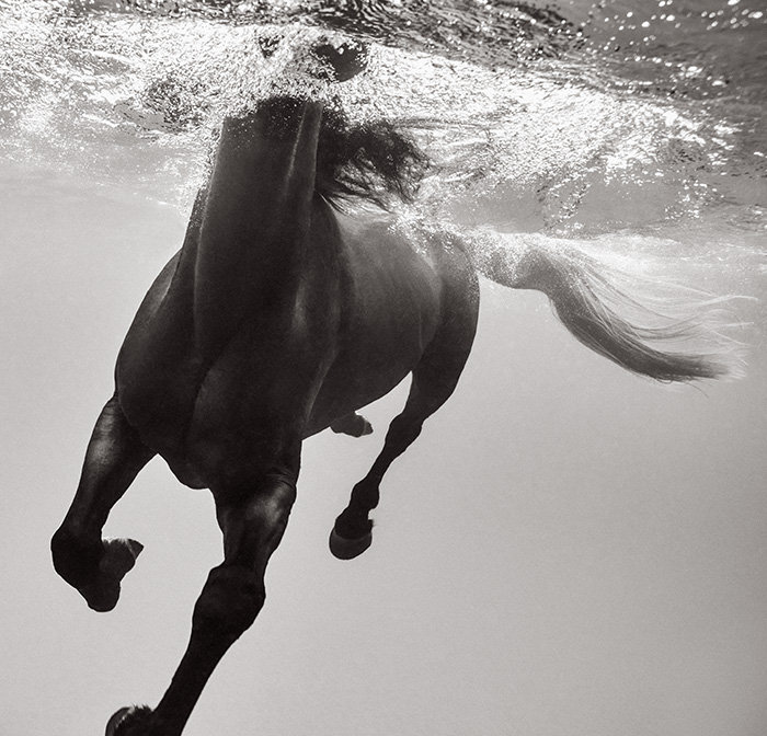 Immersion