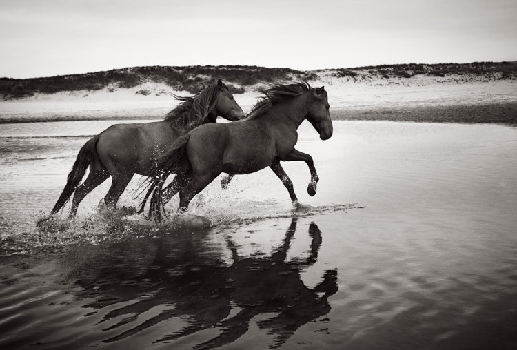 Soulmates — Drew Doggett