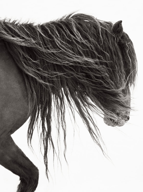 Windblown