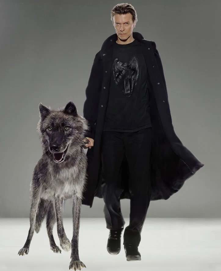 Klinko David Bowie Natural Villans