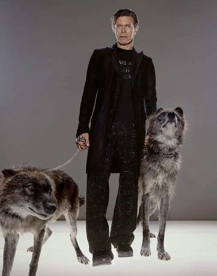 Klinko David Bowie The Hunt