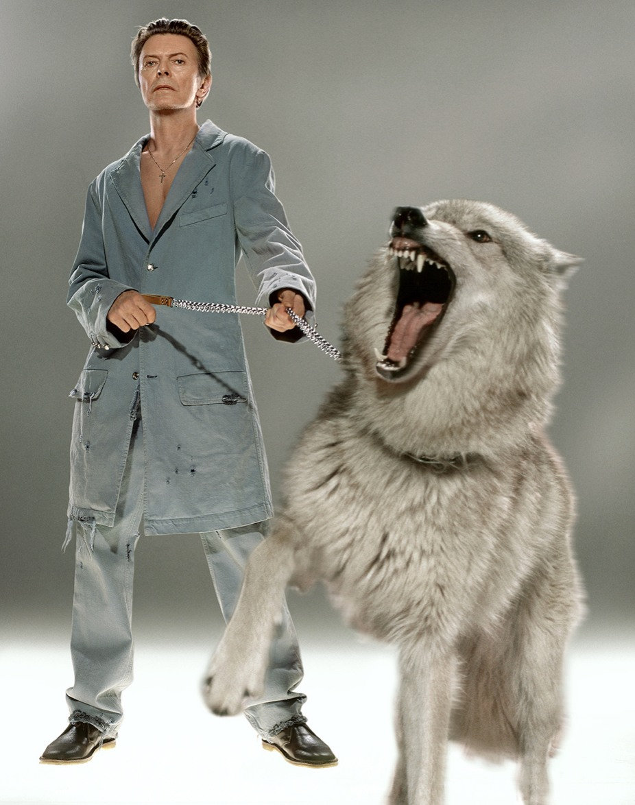 Klinko David Bowie The Protector