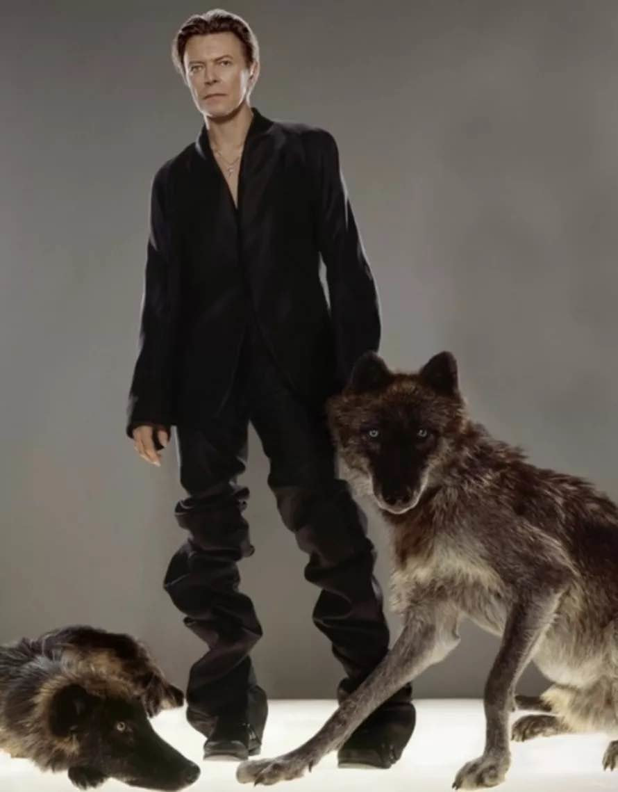 Klinko David Bowie The Wave