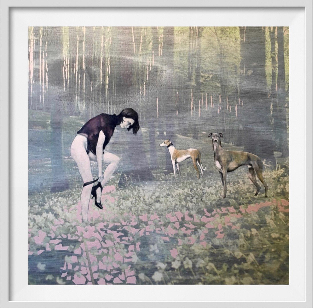 Mcardle One Moment in the woods