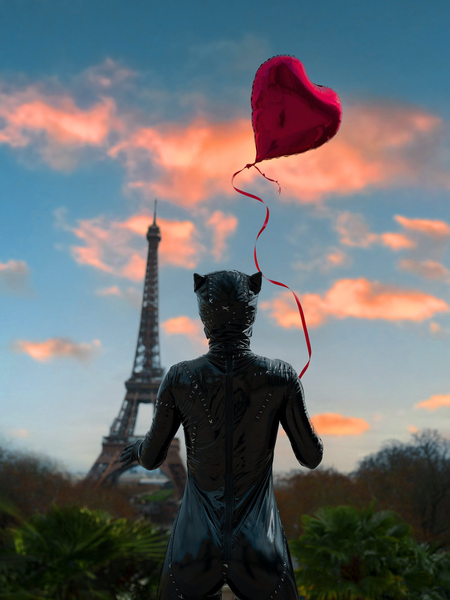 Cats Escape. From Paris Wit