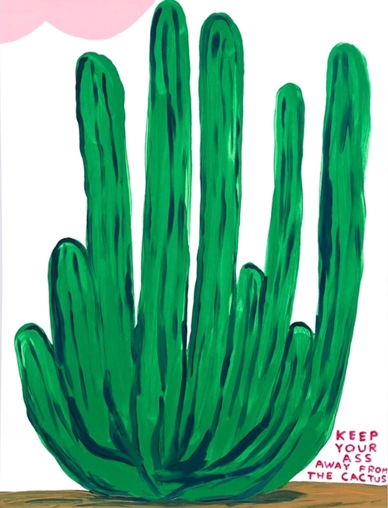 Keep Your Ass Away from the Cactus