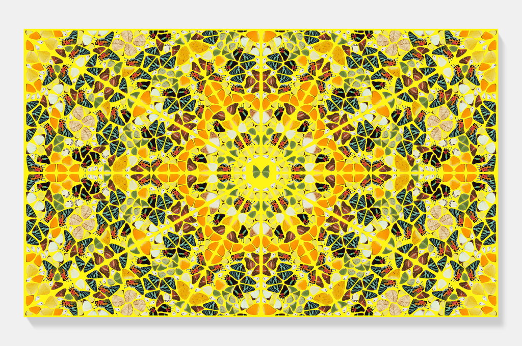 The Kaleidoscopes H18-4 'Splendour'