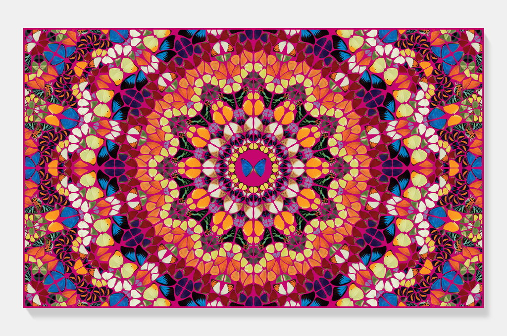 The Kaleidoscopes H18-1 'Harlequin'