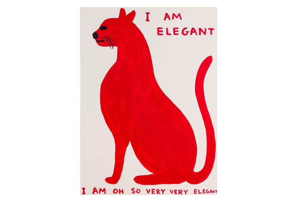 Elegant Cat